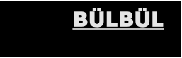 BÜLBÜL