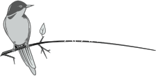 APARTMANI